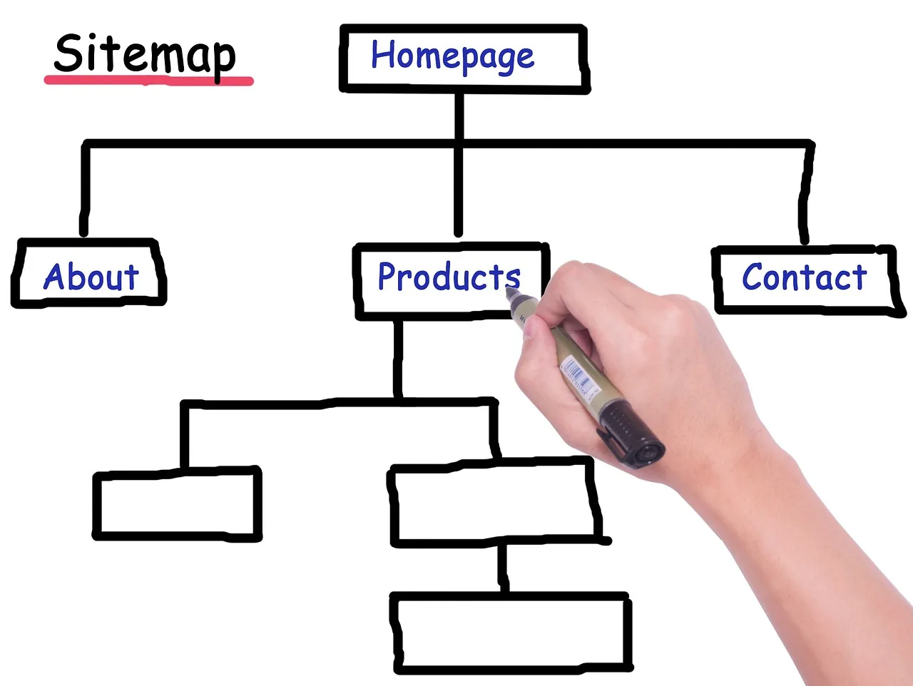 sitemap, pedigree, website hierarchy, sitemap, sitemap, sitemap, sitemap, sitemap. Spotting franchise SEO mistakes before they cost money